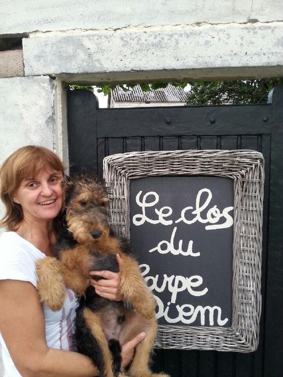 Le Clos Du Carpe Diem Cambligneul Bagian luar foto